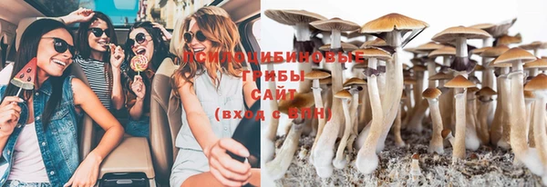 круглые Алексеевка