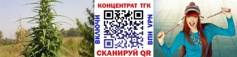 как найти наркотики  Шатура  ТГК вейп с тгк 