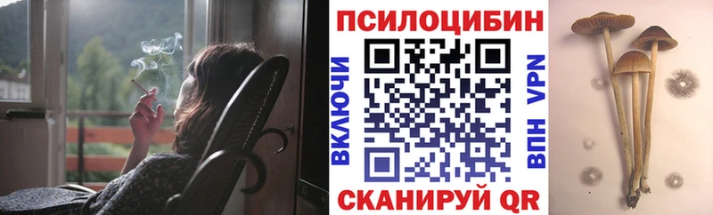 Псилоцибиновые грибы Cubensis  Шатура 
