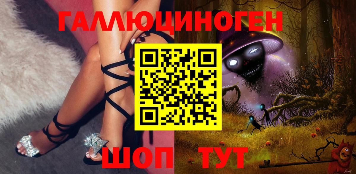 Псилоцибиновые грибы Psilocybe  Вход с VPN  Шатура 